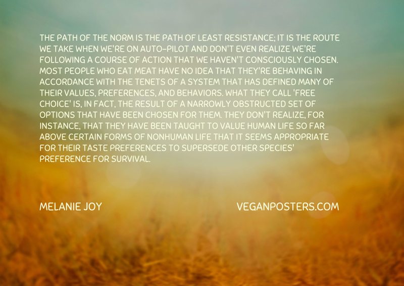 The path of the norm is the path of least resistance; it is the route we take when we're on auto-pilot and don't even realize we're following a course of action that we haven't consciously chosen. Most people who eat meat have no idea that they're behaving in accordance with the tenets of a system that has defined many of their values, preferences, and behaviors. What they call 'free choice' is, in fact, the result of a narrowly obstructed set of options that have been chosen for them. They don't realize, for instance, that they have been taught to value human life so far above certain forms of nonhuman life that it seems appropriate for their taste preferences to supersede other species' preference for survival.