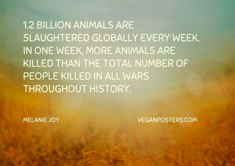 1.2 billion animals are slaughtered globally every week. In one week, more animals are killed than the total number of people killed in all wars throughout history.