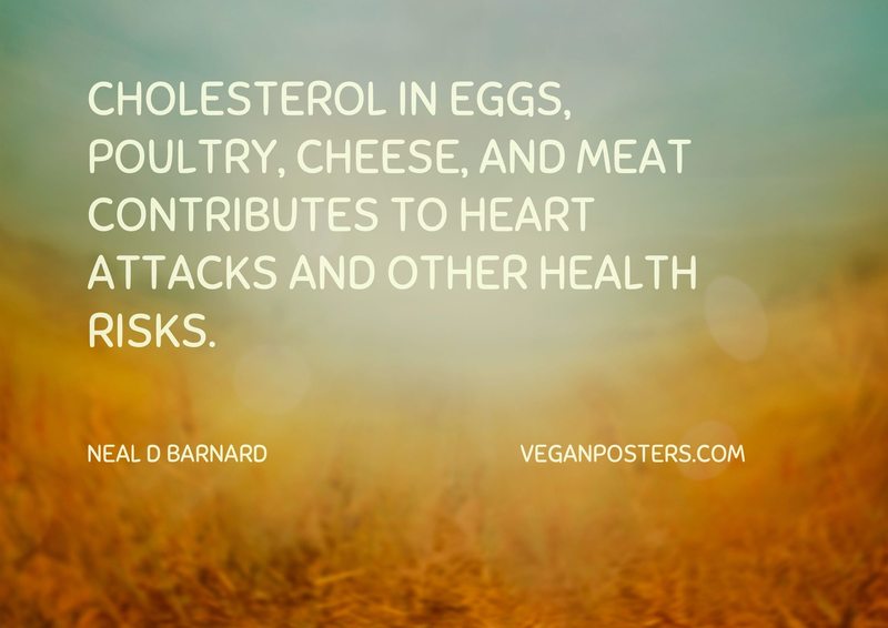 Cholesterol in eggs, poultry, cheese, and meat contributes to heart attacks and other health risks.