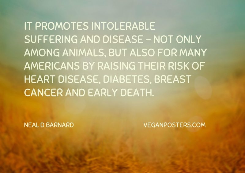 It promotes intolerable suffering and disease - not only among animals, but also for many Americans by raising their risk of heart disease, diabetes, breast cancer and early death.