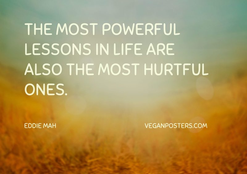 The most powerful lessons in life are also the most hurtful ones.