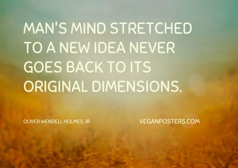 Man's mind stretched to a new idea never goes back to its original dimensions.