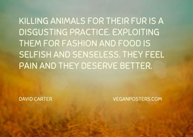 Killing animals for their fur is a disgusting practice. Exploiting them for fashion and food is selfish and senseless. They feel pain and they deserve better.