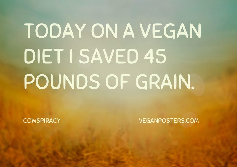 Today on a vegan diet I saved 45 pounds of grain.