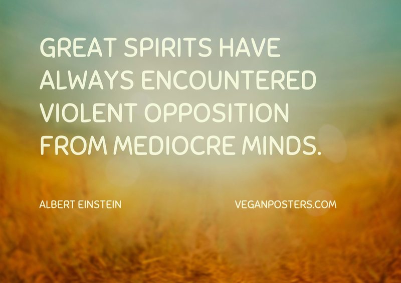Great spirits have always encountered violent opposition from mediocre minds.