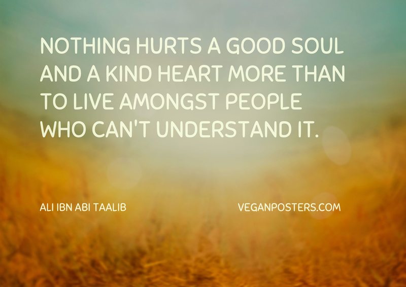 Nothing hurts a good soul and a kind heart more than to live amongst people who can't understand it.