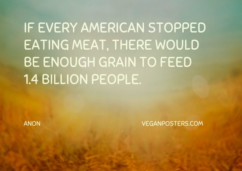 If every American stopped eating meat, there would be enough grain to feed 1.4 billion people.