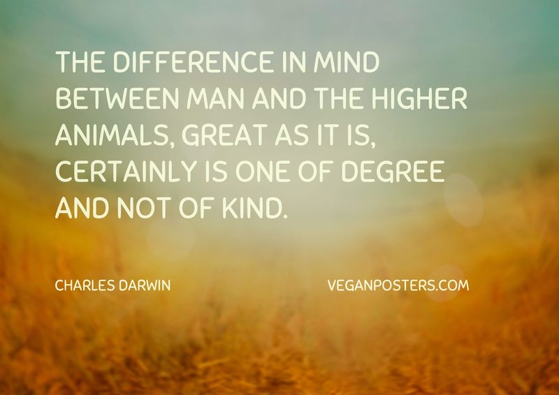 The difference in mind between man and the higher animals, great as it is, certainly is one of degree and not of kind.