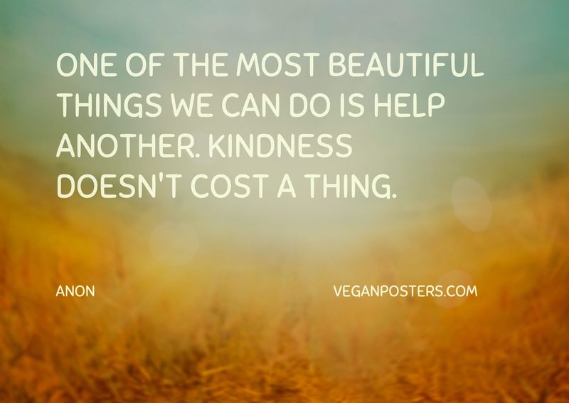 One of the most beautiful things we can do is help another. Kindness doesn't cost a thing.