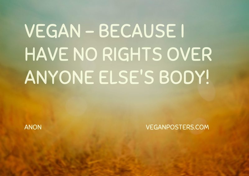 Vegan - because I have no rights over anyone else's body!