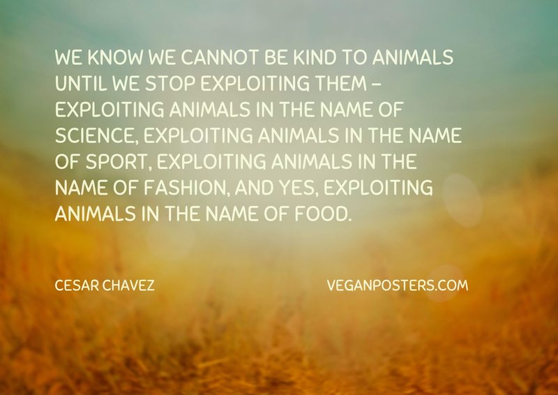 We know we cannot be kind to animals until we stop exploiting them - exploiting animals in the name of science, exploiting animals in the name of sport, exploiting animals in the name of fashion, and yes, exploiting animals in the name of food.