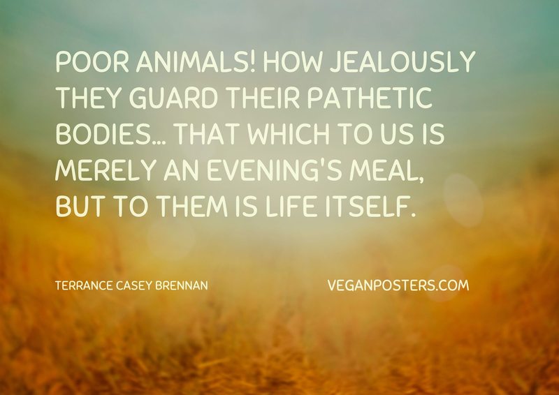 Poor animals! How jealously they guard their pathetic bodies... that which to us is merely an evening's meal, but to them is life itself.
