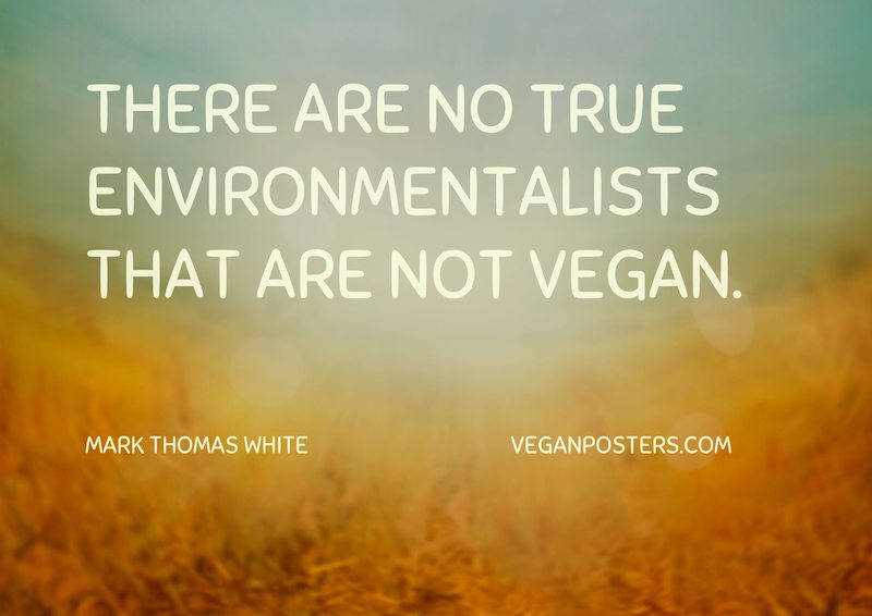 There are no true environmentalists that are not vegan.
