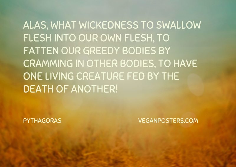 Alas, what wickedness to swallow flesh into our own flesh, to fatten our greedy bodies by cramming in other bodies, to have one living creature fed by the death of another!