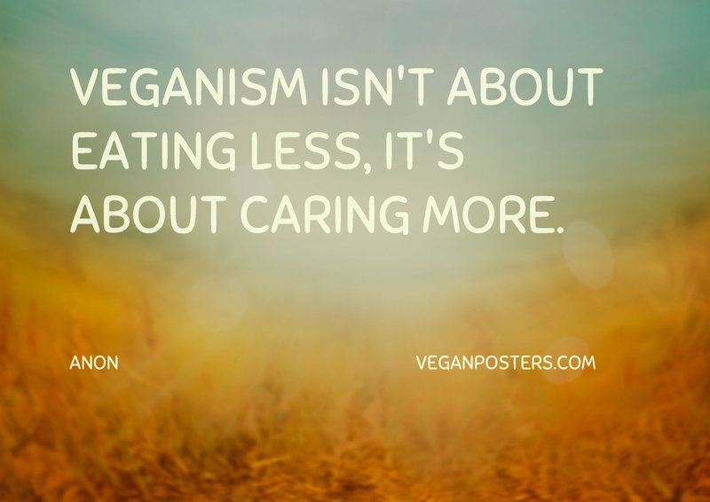 Veganism isn't about eating less, it's about caring more.