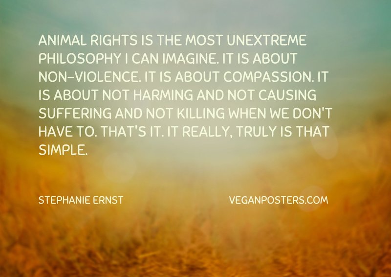 Animal rights is the most unextreme philosophy I can imagine. It is about non-violence. It is about compassion. It is about not harming and not causing suffering and not killing when we don't have to. That's it. It really, truly is that simple.
