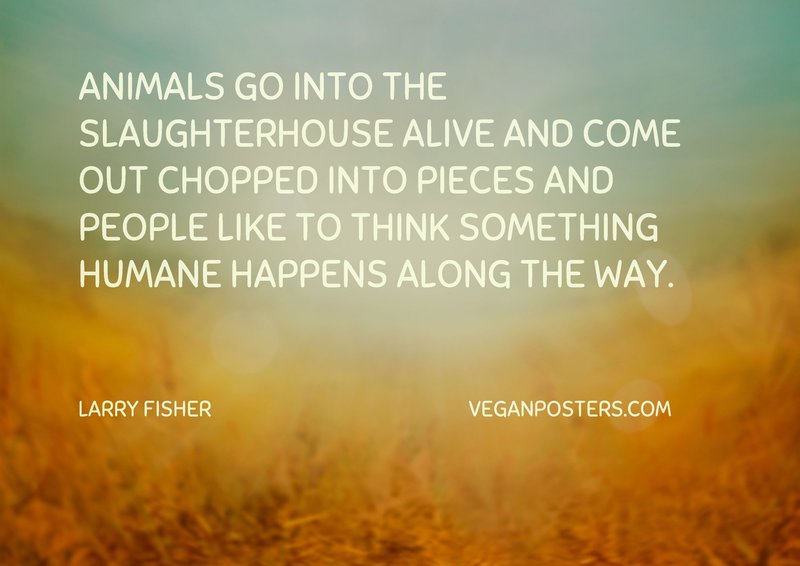Animals go into the slaughterhouse alive and | Vegan Posters