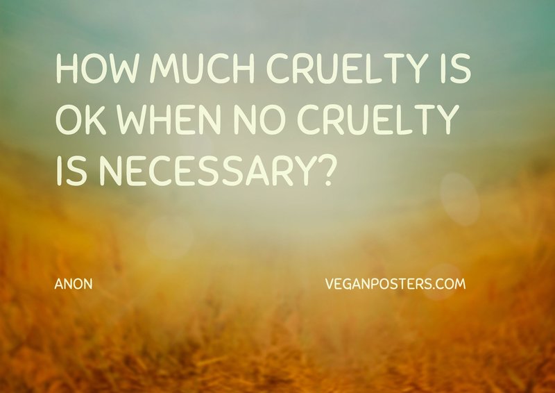 How much cruelty is OK when no cruelty is necessary?