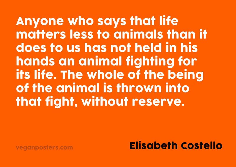 Anyone who says that life matters less to animals than it does to us has not held in his hands an animal fighting for its life. The whole of the being of the animal is thrown into that fight, without reserve.