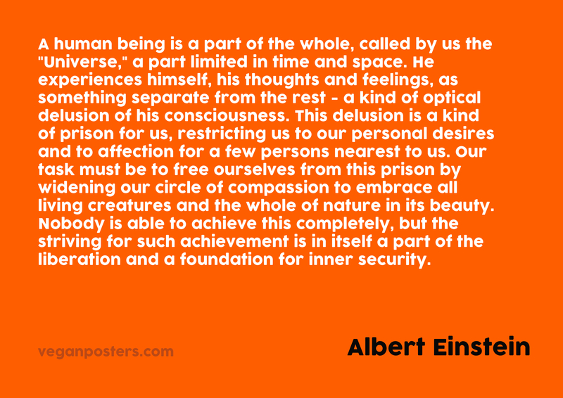 A human being is a part of the whole, called by us the "Universe," a part limited in time and space. He experiences himself, his thoughts and feelings, as something separate from the rest - a kind of optical delusion of his consciousness. This delusion is a kind of prison for us, restricting us to our personal desires and to affection for a few persons nearest to us. Our task must be to free ourselves from this prison by widening our circle of compassion to embrace all living creatures and the whole of nature in its beauty. Nobody is able to achieve this completely, but the striving for such achievement is in itself a part of the liberation and a foundation for inner security.
