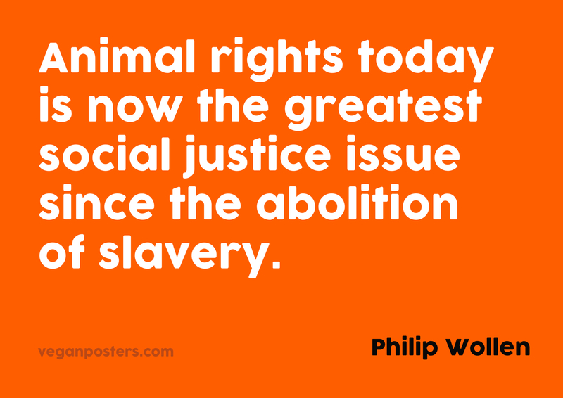 Animal rights today is now the greatest social justice issue since the abolition of slavery.