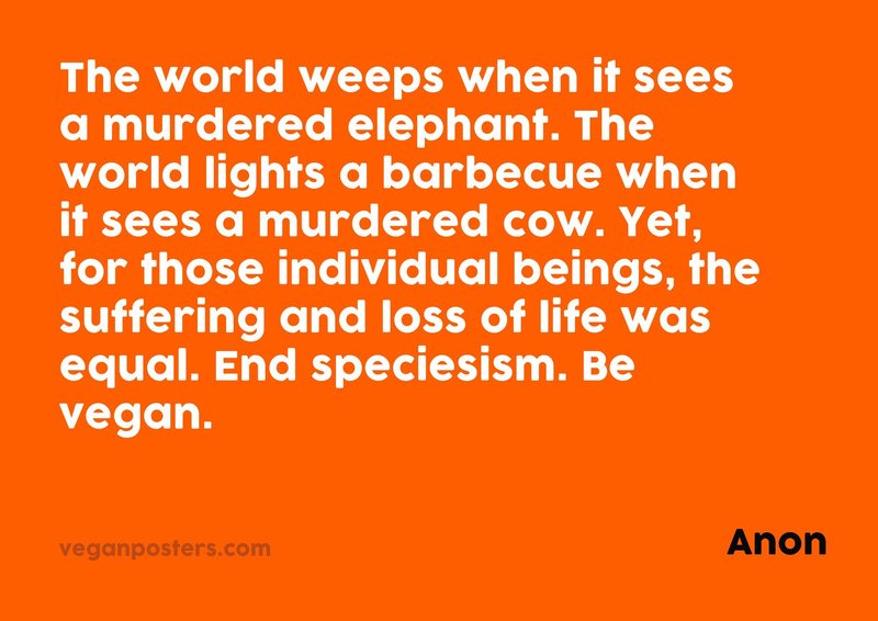 The world weeps when it sees a murdered elephant. The world lights a barbecue when it sees a murdered cow. Yet, for those individual beings, the suffering and loss of life was equal. End speciesism. Be vegan.