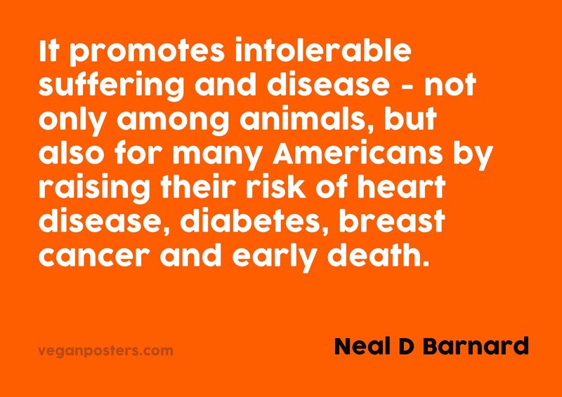 It promotes intolerable suffering and disease - not only among animals, but also for many Americans by raising their risk of heart disease, diabetes, breast cancer and early death.