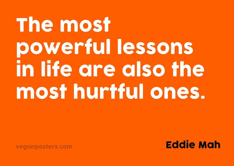 The most powerful lessons in life are also the most hurtful ones.