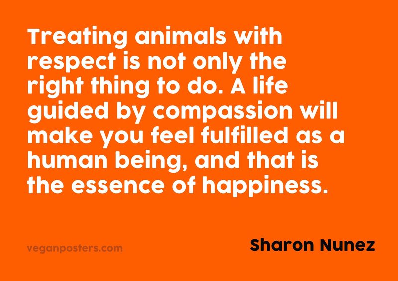 Treating animals with respect is not only the right thing to do. A life guided by compassion will make you feel fulfilled as a human being, and that is the essence of happiness.