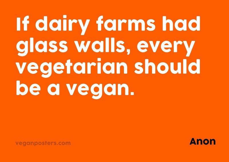 If dairy farms had glass walls, every vegetarian should be a vegan.
