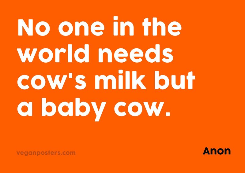 No one in the world needs cow's milk but a baby cow.