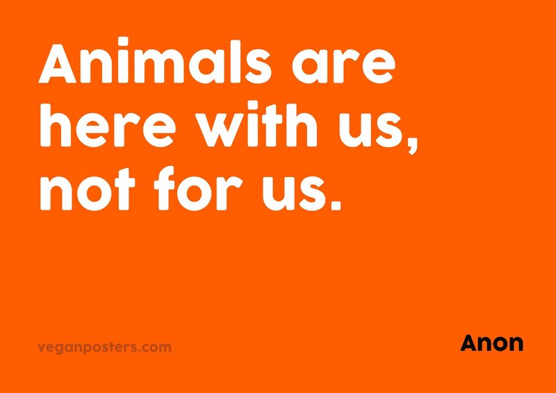 Animals are here with us, not for us.