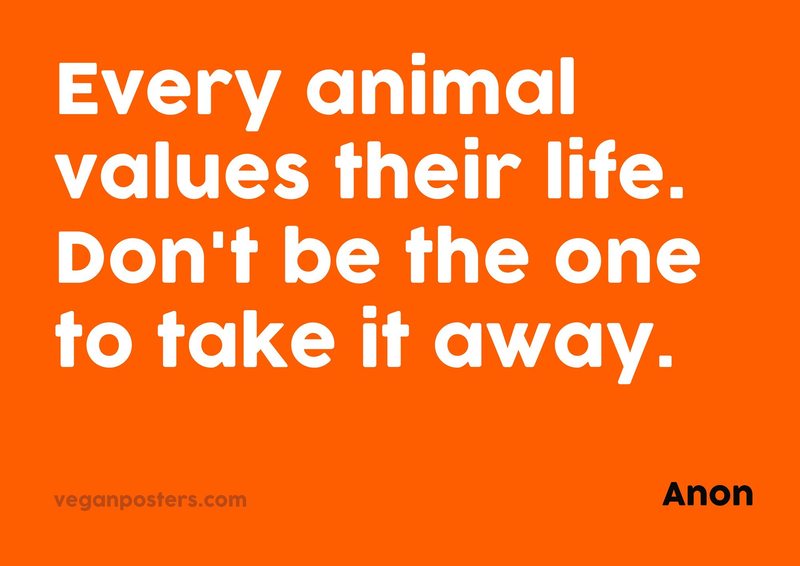 Every animal values their life. Don't be the one to take it away.
