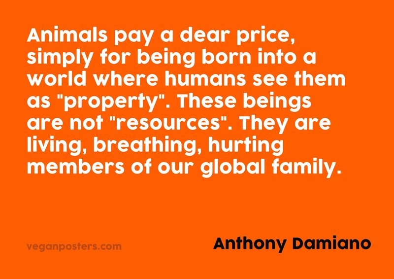 Animals pay a dear price, simply for being born into a world where humans see them as "property". These beings are not "resources". They are living, breathing, hurting members of our global family.