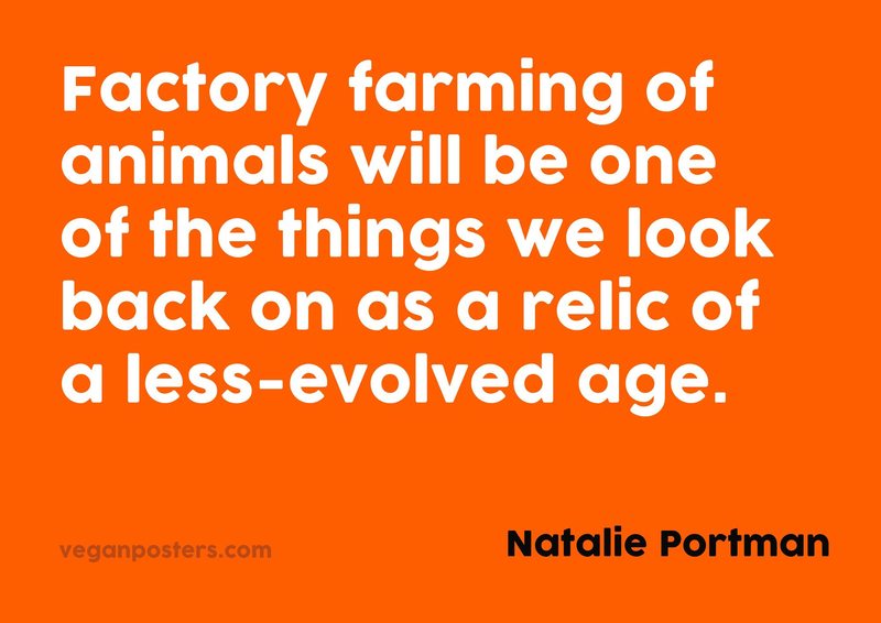 Factory farming of animals will be one of the things we look back on as a relic of a less-evolved age.