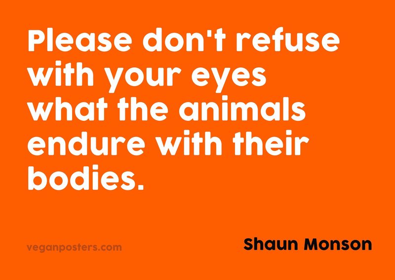 Please don't refuse with your eyes what the animals endure with their bodies.