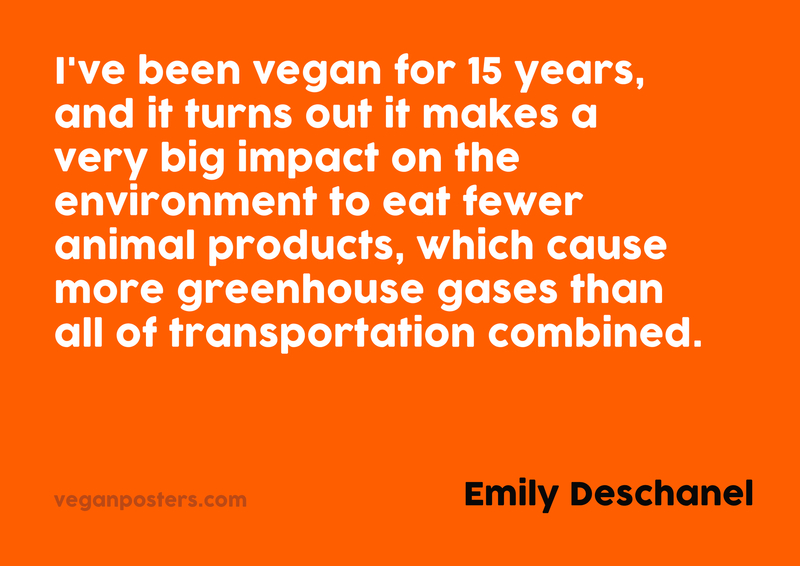 I've been vegan for 15 years, and it turns out it makes a very big impact on the environment to eat fewer animal products, which cause more greenhouse gases than all of transportation combined.