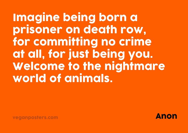 Imagine being born a prisoner on death row, for committing no crime at all, for just being you. Welcome to the nightmare world of animals.