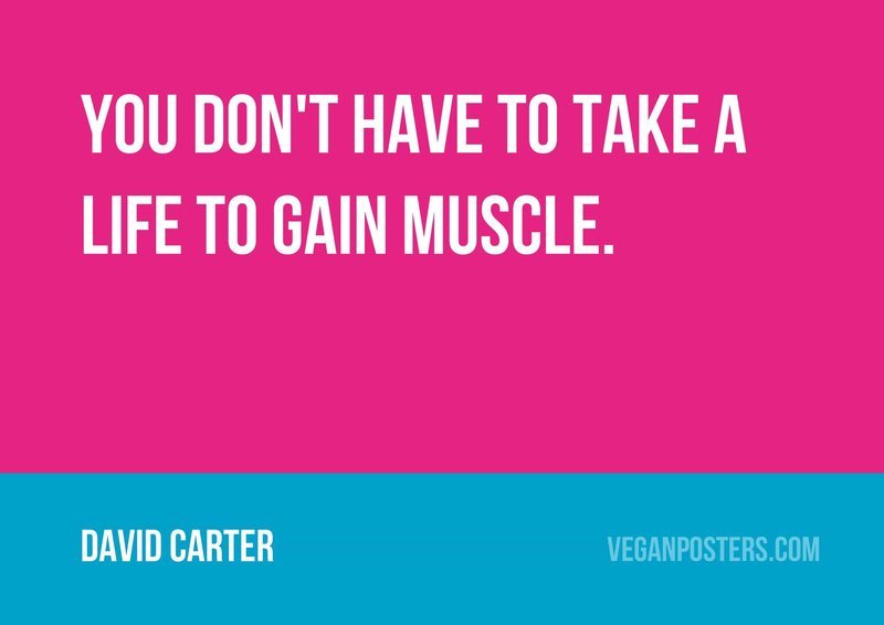 You don't have to take a life to gain muscle.