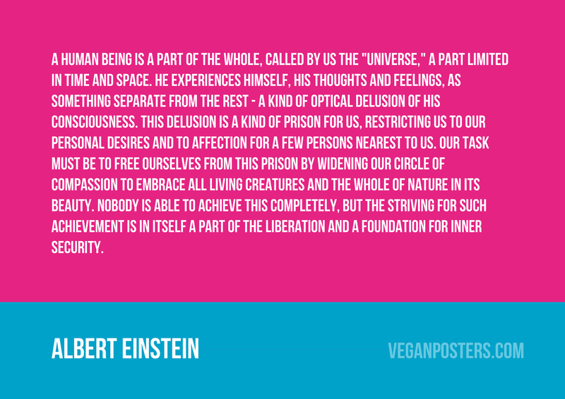 A human being is a part of the whole, called by us the "Universe," a part limited in time and space. He experiences himself, his thoughts and feelings, as something separate from the rest - a kind of optical delusion of his consciousness. This delusion is a kind of prison for us, restricting us to our personal desires and to affection for a few persons nearest to us. Our task must be to free ourselves from this prison by widening our circle of compassion to embrace all living creatures and the whole of nature in its beauty. Nobody is able to achieve this completely, but the striving for such achievement is in itself a part of the liberation and a foundation for inner security.

