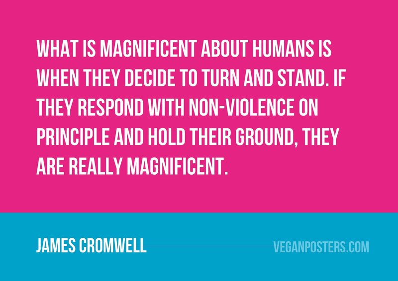 What is magnificent about humans is when they decide to turn and stand. If they respond with non-violence on principle and hold their ground, they are really magnificent.