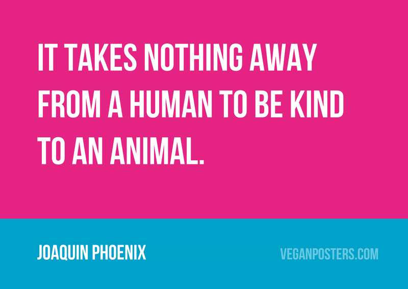 It takes nothing away from a human to be kind to an animal.