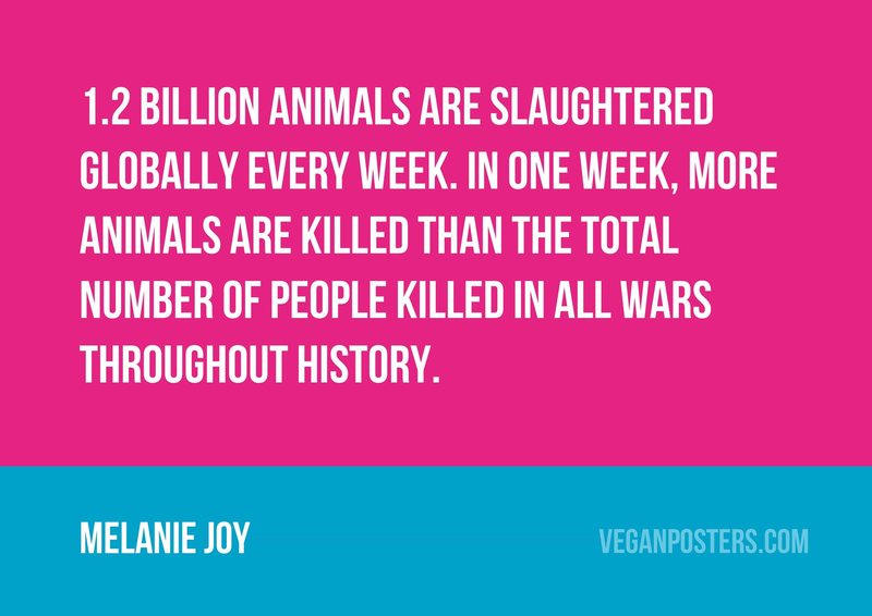 1.2 billion animals are slaughtered globally every week. In one week, more animals are killed than the total number of people killed in all wars throughout history.