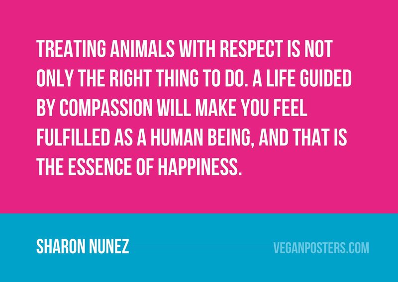 Treating animals with respect is not only the right thing to do. A life guided by compassion will make you feel fulfilled as a human being, and that is the essence of happiness.