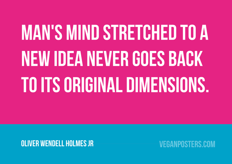 Man's mind stretched to a new idea never goes back to its original dimensions.