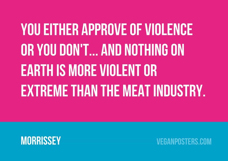 You either approve of violence or you don't... and nothing on earth is more violent or extreme than the meat industry.