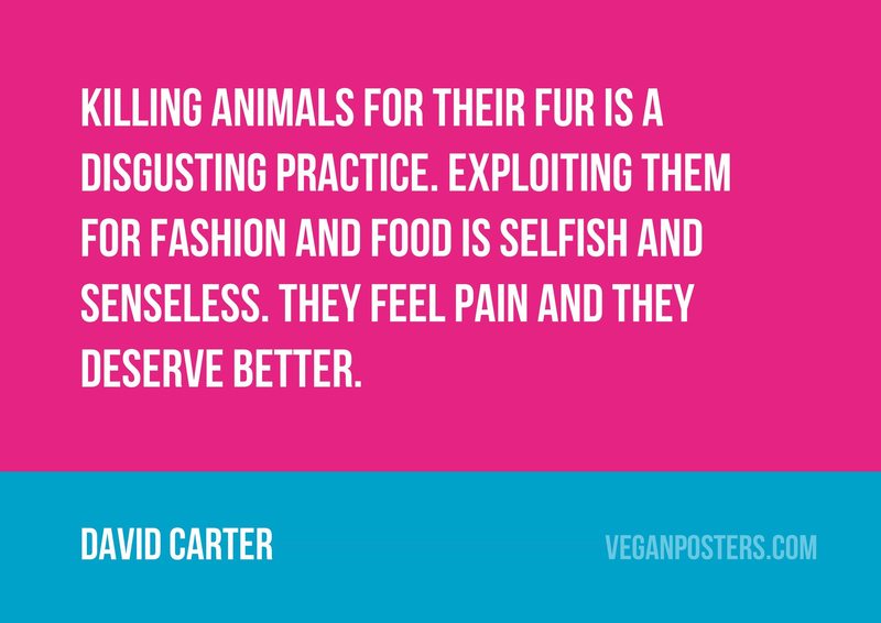 Killing animals for their fur is a disgusting practice. Exploiting them for fashion and food is selfish and senseless. They feel pain and they deserve better.