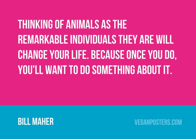 Thinking of animals as the remarkable individuals they are will change your life. Because once you do, you'll want to do something about it.