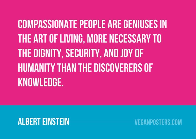 Compassionate people are geniuses in the art of living, more necessary to the dignity, security, and joy of humanity than the discoverers of knowledge.