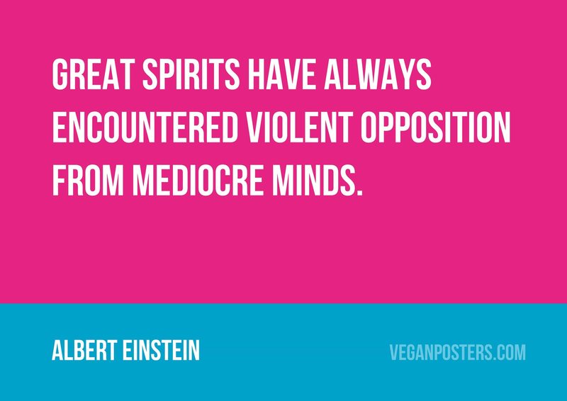 Great spirits have always encountered violent opposition from mediocre minds.